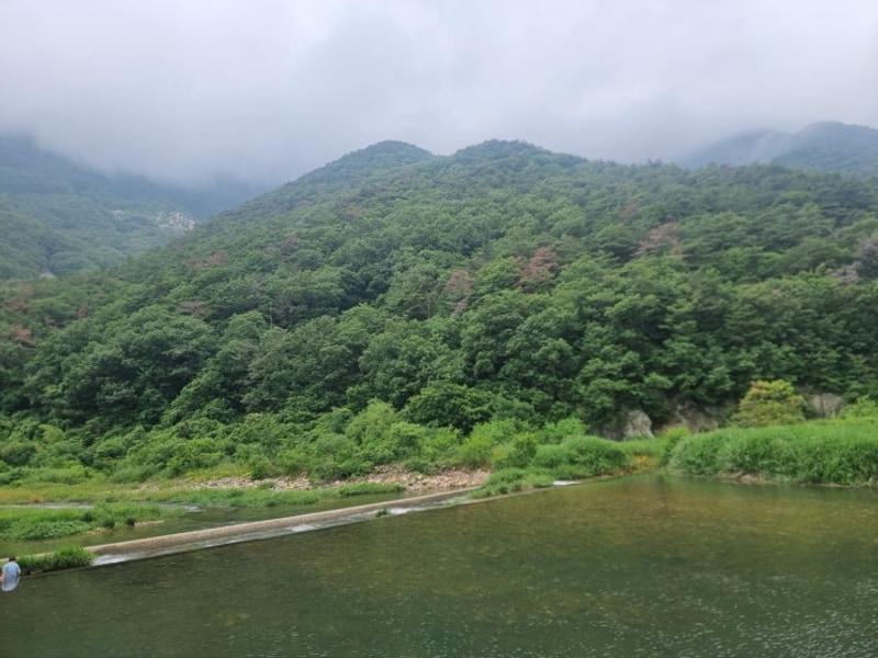 양산 포시즌M 캠핑 계곡 물놀이 수영장 부산 근교 평상 대여
