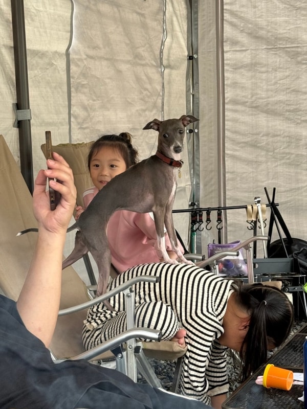 [충북 제천] 패밀리 오토캠핑장방문/내돈내산/캠핑장추천...