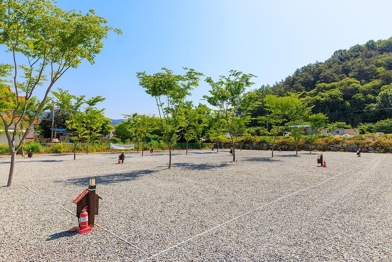 엠와이힐링캠핑장 시설 사진 12