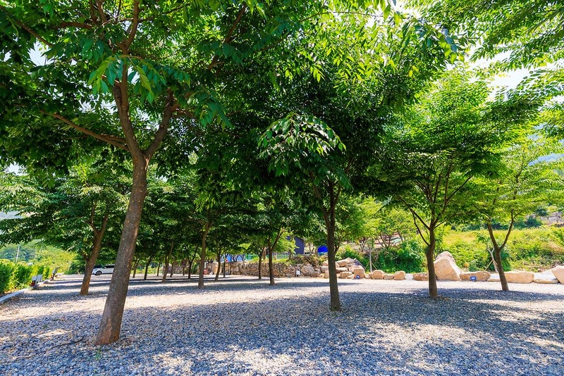 밀양 가보자 캠핑장 시설 사진 3