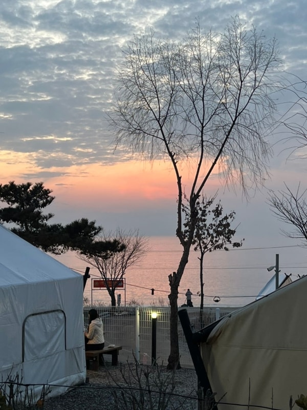 인천 강화도 바다앞 분위기... 노을빛바다애 글램핑 내돈내산