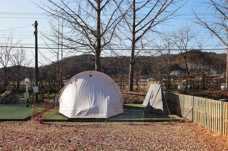 피플앤독 느티캠핑장 시설 사진 1