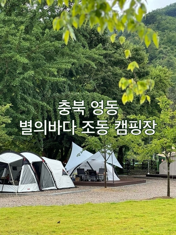 충북 영동 별의바다 조동캠핑장 신생캠핑장