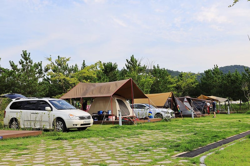 고창갯벌오토캠핑&글램핑장 시설 사진 13