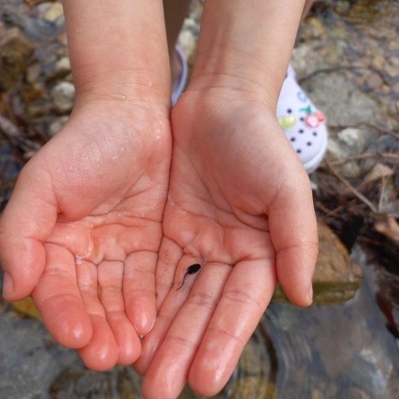 STX오토캠핑장 시설 사진 6