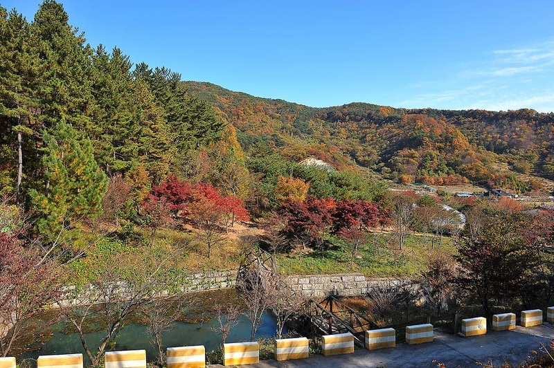 백운산 자연휴양림 자동차야영장 시설 사진 6