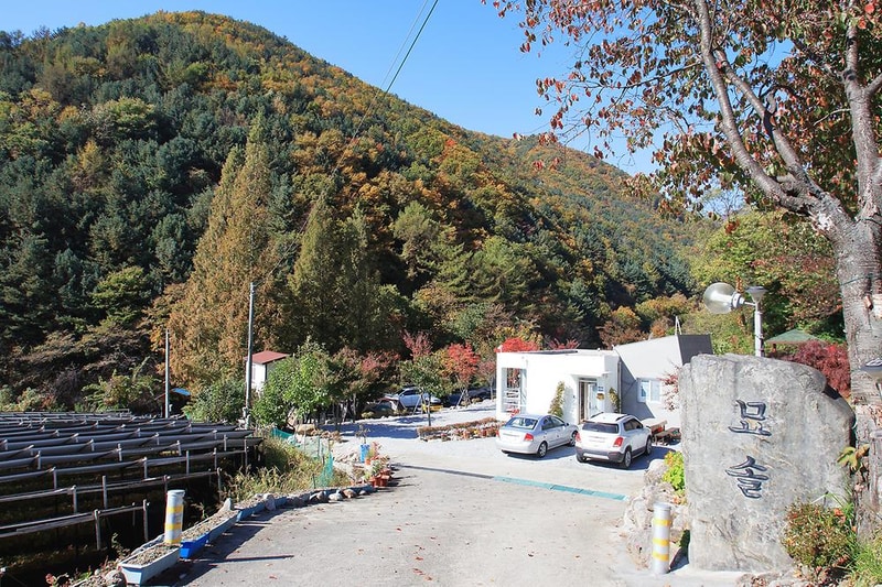 묘솔 시설 사진 1