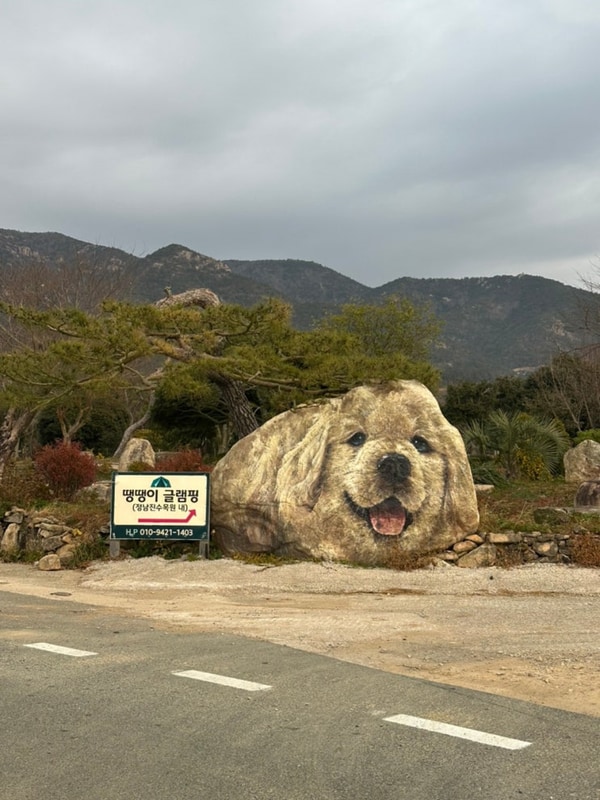 [장흥 글램핑] 땡땡이글램핑, 애견동반 전남글램핑장 추천