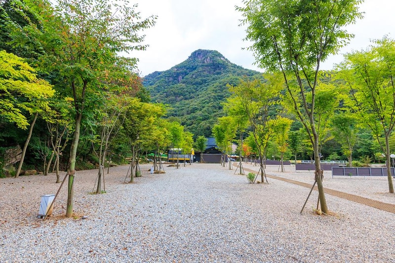 신월리 오토캠핑장 시설 사진 11