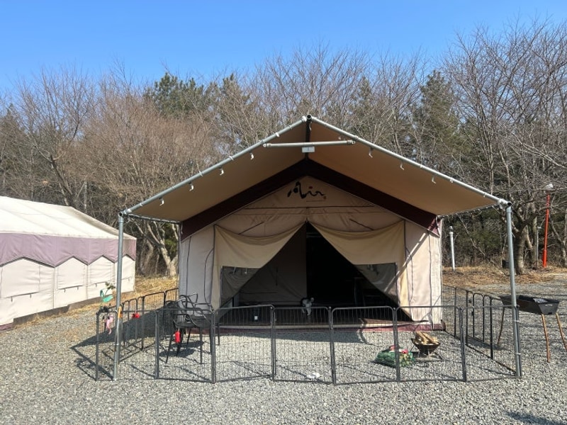 서산 애견동반글램핑추천 펫앤트리펜션 개별펜스 넓은 실내...