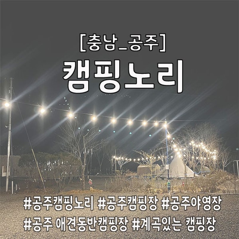 [충남_공주]공주 캠핑노리, 공주 캠핑장, 애견동반 가능, 계곡과...