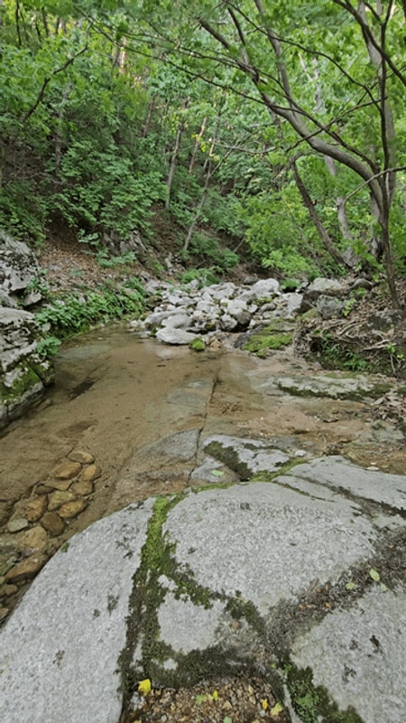 계곡 캠핑장 추천 포천 각흘계곡캠핑장 P6 사이트 후기