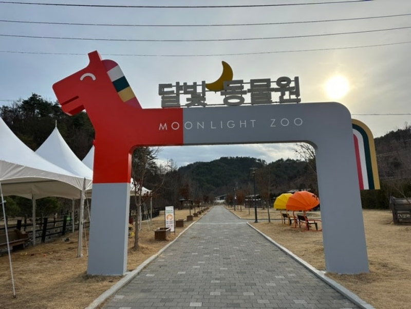 영월 펫힐링 달빛동물원 캠핑장 아이랑캠핑