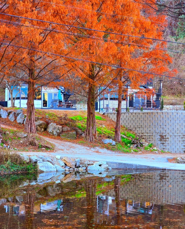 브루조아 시설 사진 11