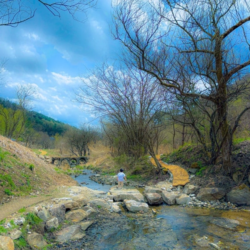 강원도 횡성 캠핑장 추천 | 월현포레스트 시설, 아이동반 사이트...