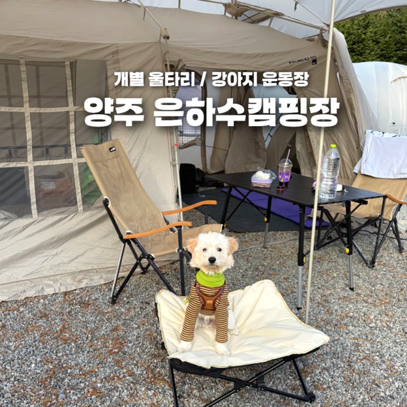 서울근교 경기도 애견캠핑장 양주 은하수캠핑장 후기