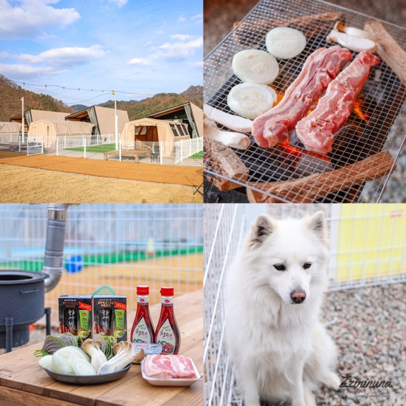 숙소 추천 춘천 애견동반 글램핑장 캠핑장 펜션 그레이스 글램핑