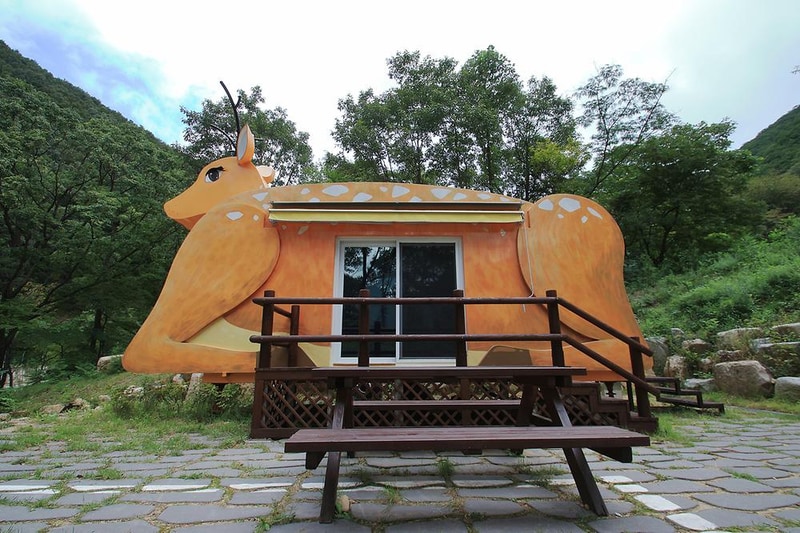 팔공산금화자연휴양림 시설 사진 18