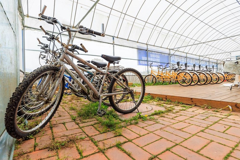 이화만리캠핑장 시설 사진 13