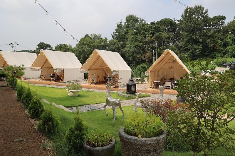 포레스트 도일 시설 사진 10