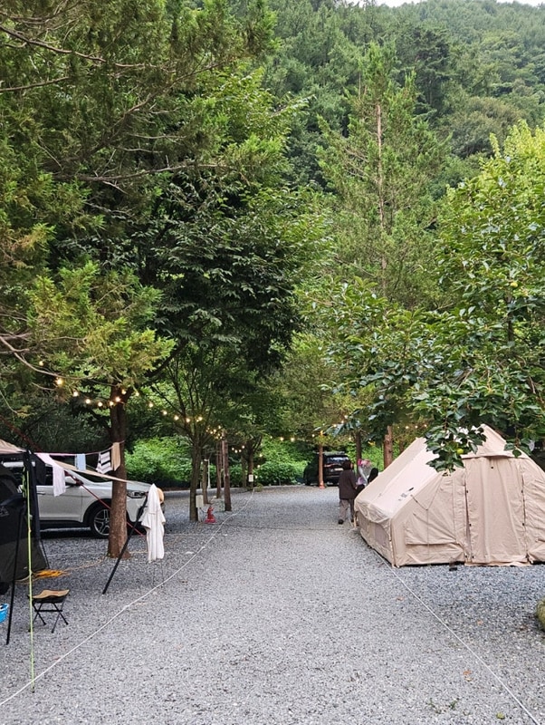 제천캠핑장:)아무도 알려주기... 월악산레트로캠핑N민박> 매년...