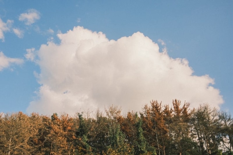 김해 생림 오토캠핑장 : 가야-05