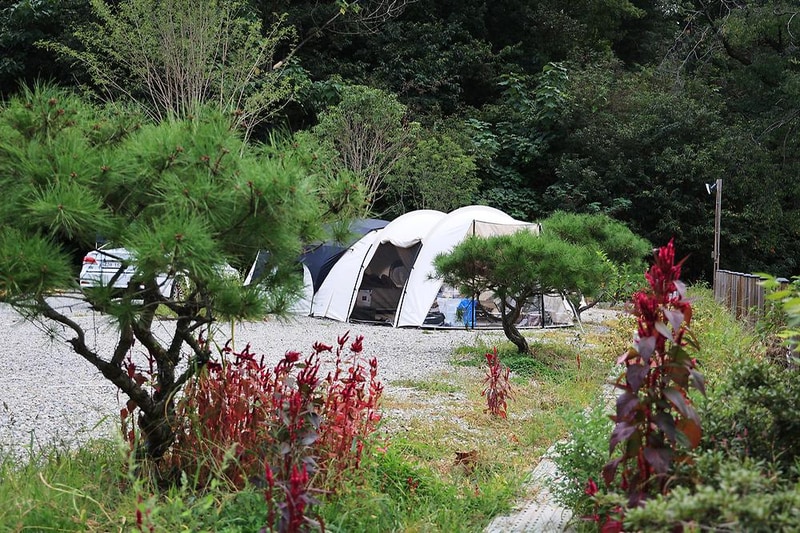 젤코바 캠핑장 시설 사진 17