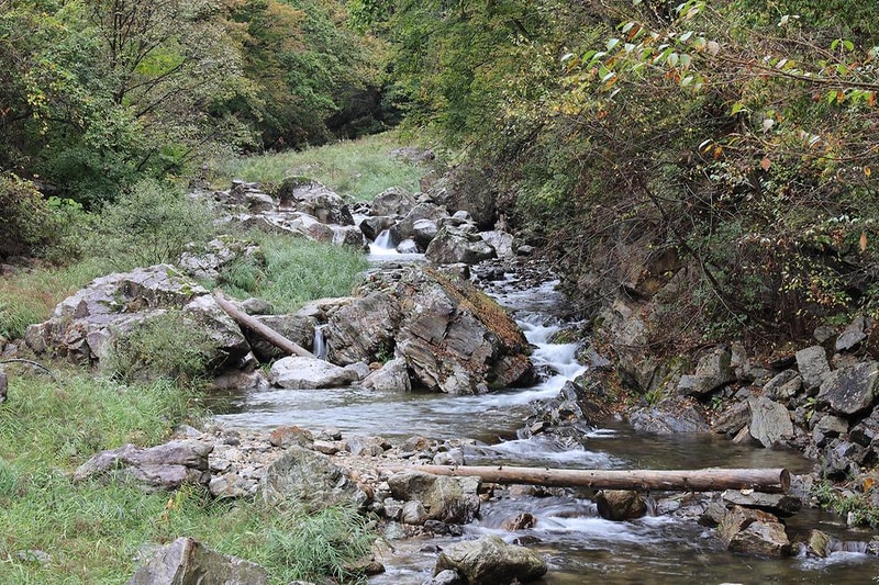 늘솔길 캠핑장 시설 사진 8