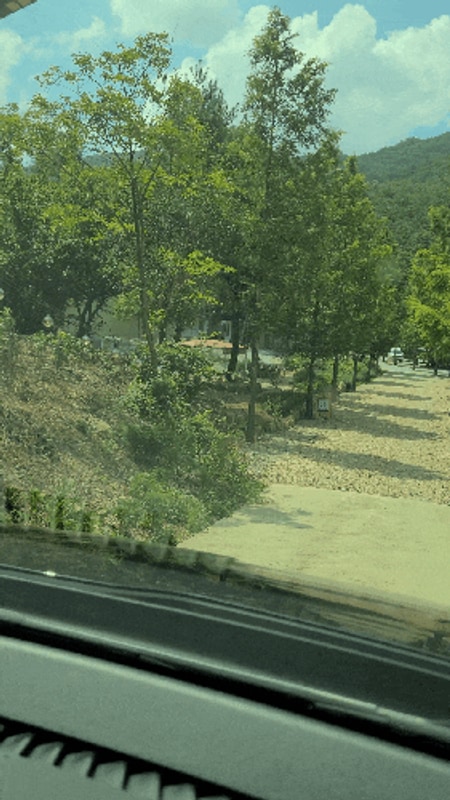 문경 캠핑장 애견동반 캠핑장 "리우"