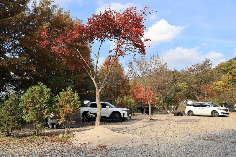 달사랑 캠핑장 시설 사진 17