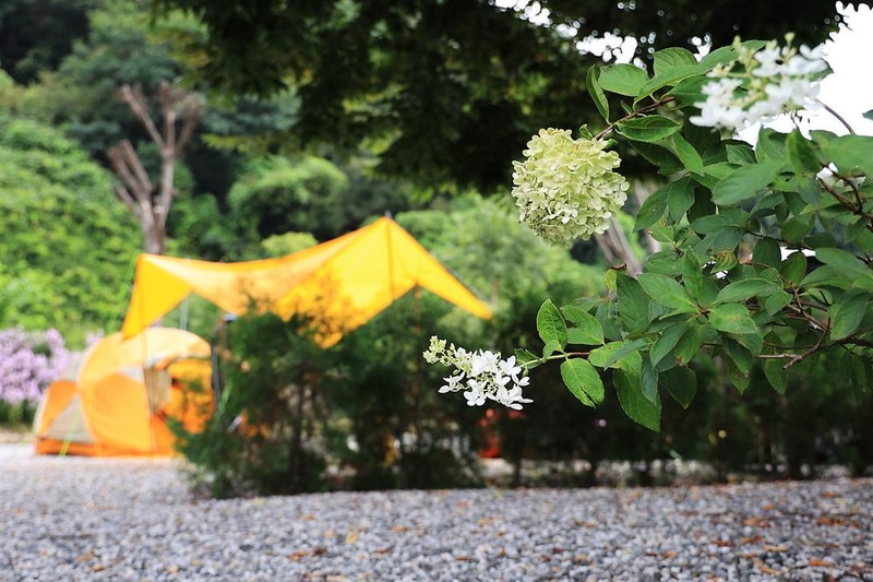 또보리 캠프 시설 사진 8