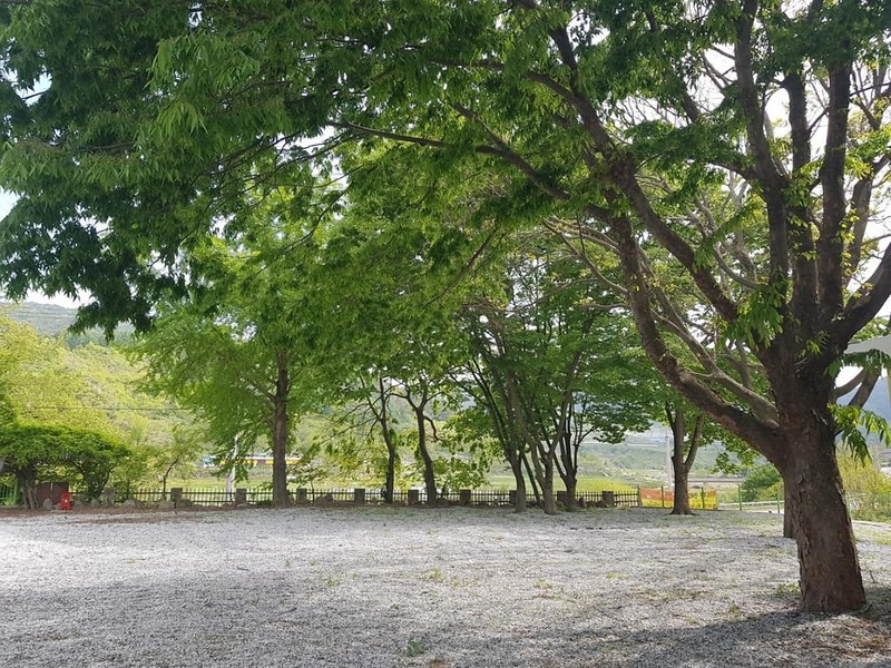 양지마을야영장 시설 사진 5