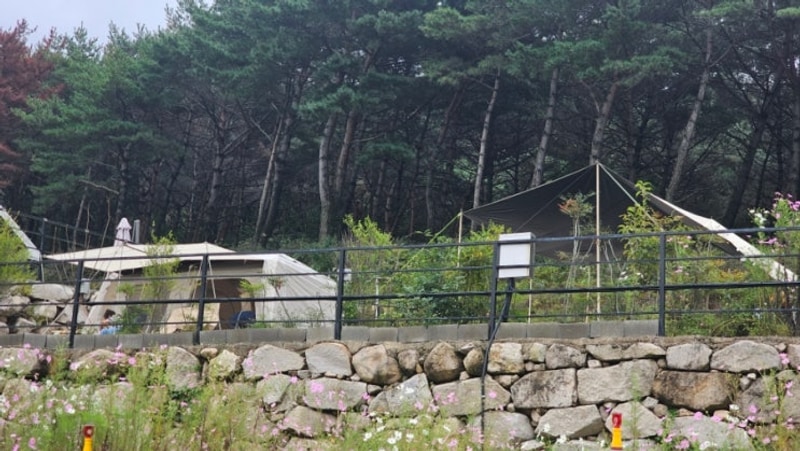 경주 초롱별 야영장, 추석 연휴 3박 4일 우중 캠핑 (경주...