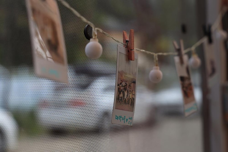 메타피아 오래캠핑장 & 카라반 시설 사진 9