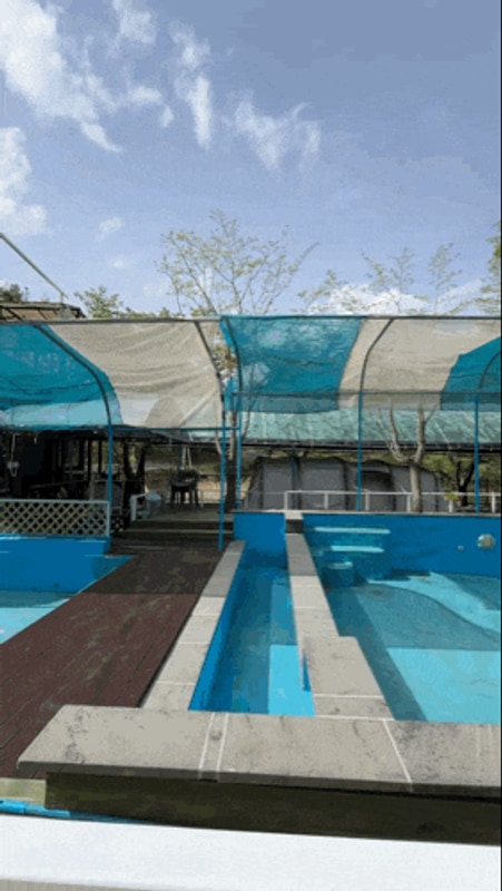 대구 근교 아이들과 가기 좋은 경주 그린하우스 캠핑장