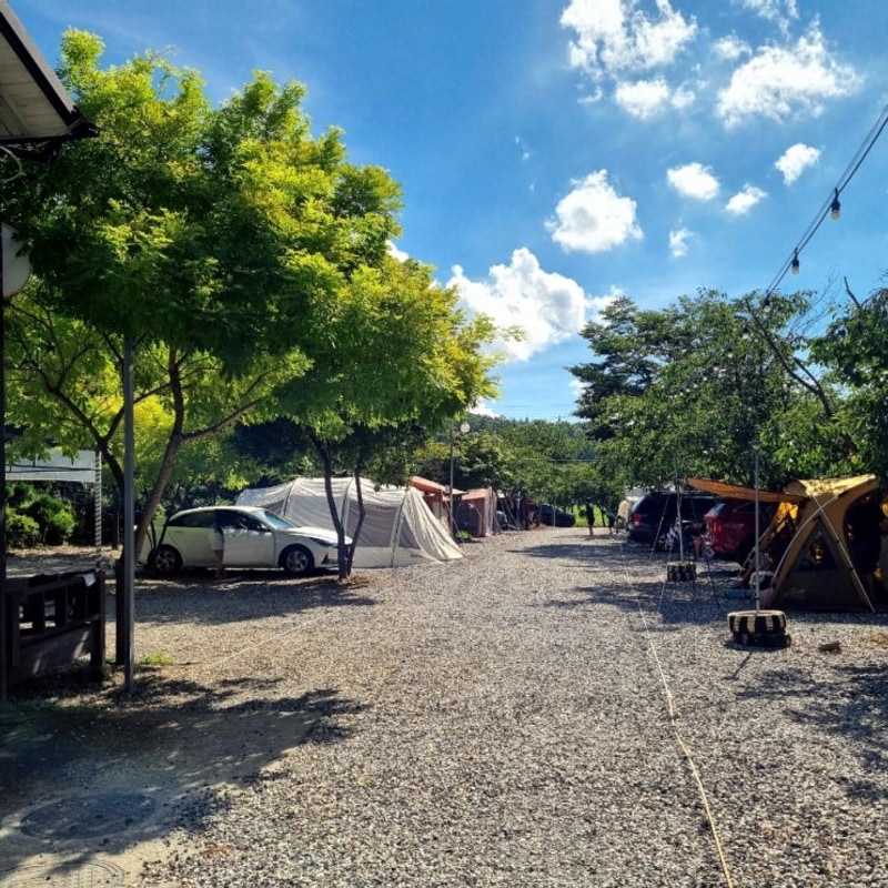 대전인근 애견동반 캠핑장  속리산 알프스 캠핑장