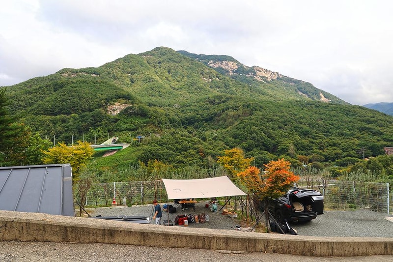 비타민 팜 오토캠핑장 시설 사진 15