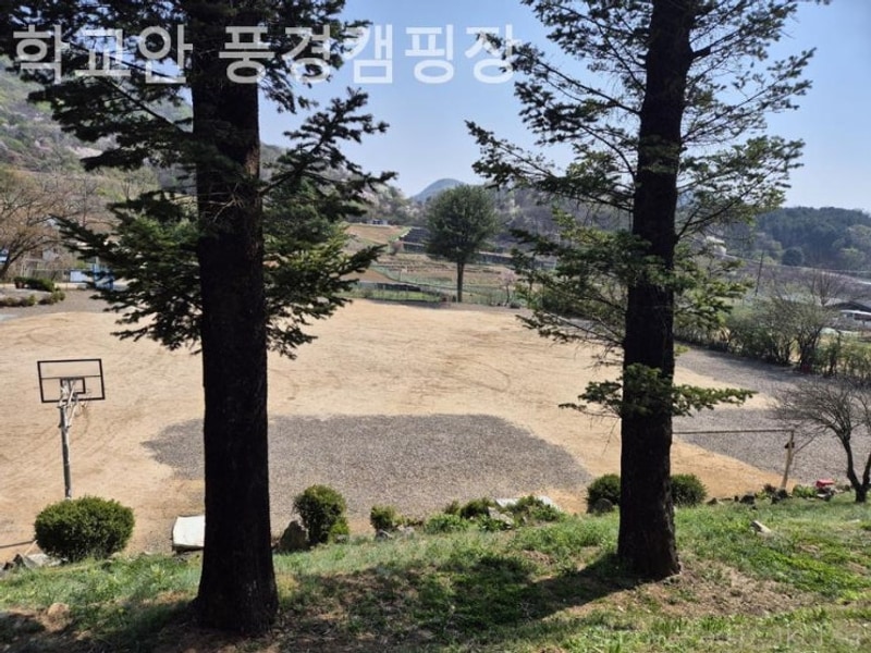 파주 캠핑장 학교안 풍경캠핑장 당일치기 셀프바베큐