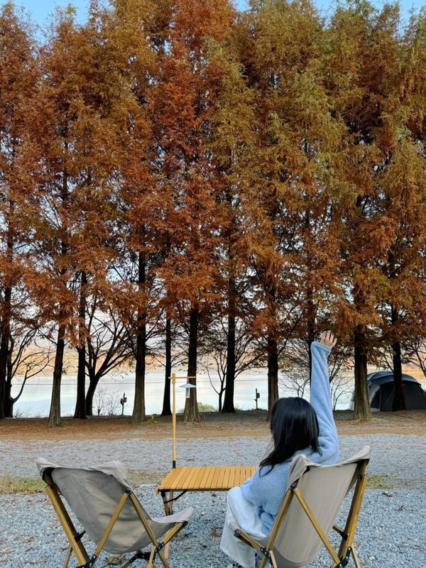 충주 제천 청풍호반오토캠핑장 : 메타세콰이어길 충주호 뷰맛집...