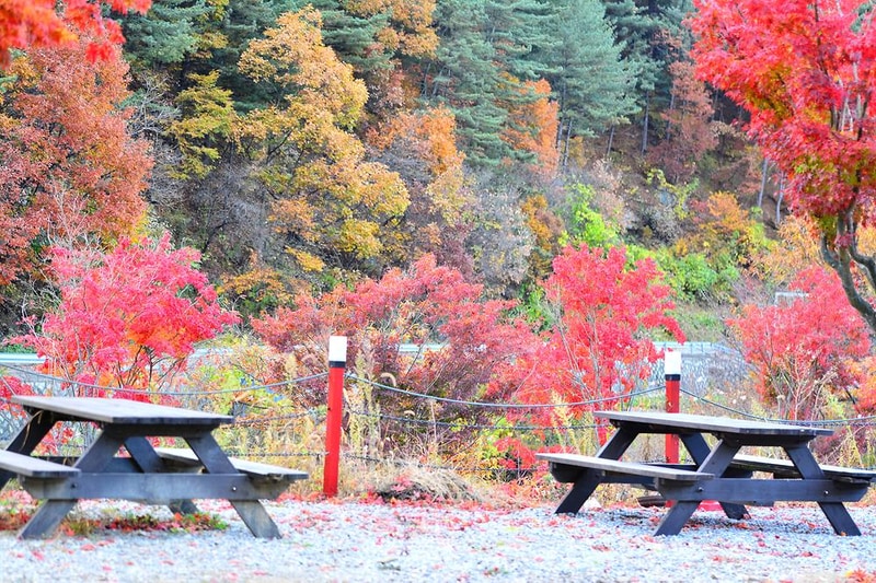 더엠캠프 시설 사진 22