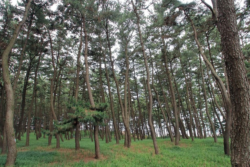 솔바람 캠핑장 시설 사진 14