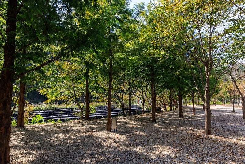 금산 자연 오토캠핑장 시설 사진 22