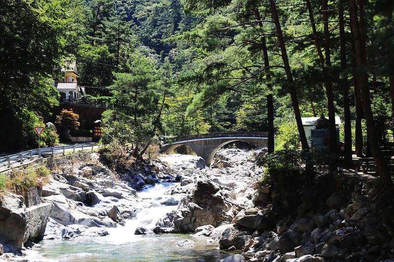 국립미천골자연휴양림 시설 사진 16