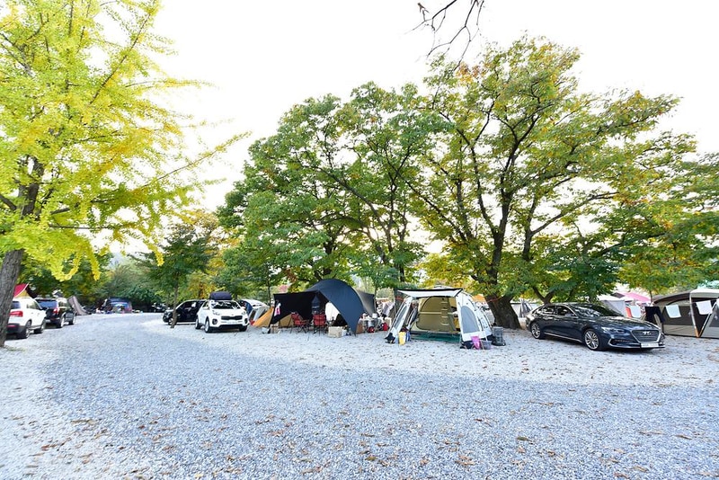 아리움캠핑장 시설 사진 9