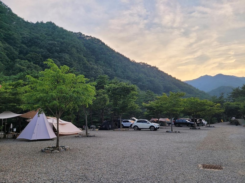 왕피천하늘담야영장 시설 사진 5