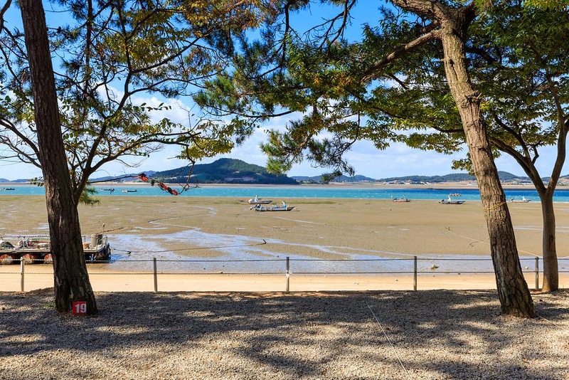 홀통183 캠핑장 시설 사진 14