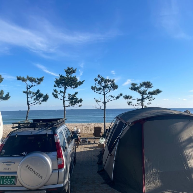 울진염전해변캠핑장 6번 사이트 후기(feat. 슈퍼팰리스)...