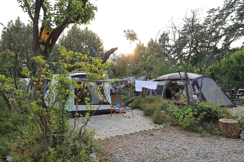 버드하우스 캠핑장 시설 사진 41