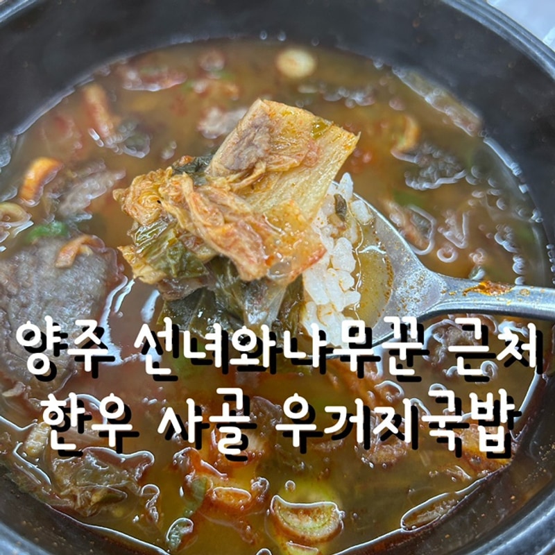 내돈내산 양주 선녀와나무꾼 캠핑장 근처 해장 맛집 한우 사골...