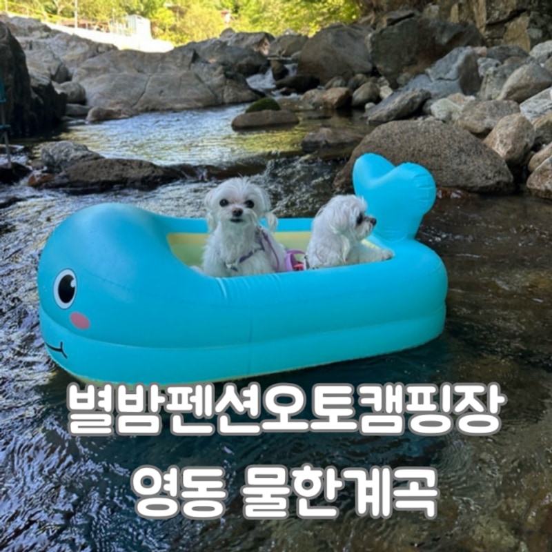 [영동 물한계곡] 애견동반 별밤펜션오토캠핑장, 수심2m...